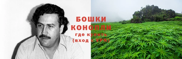 сатива Вязьма
