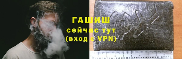 гашик Вязники