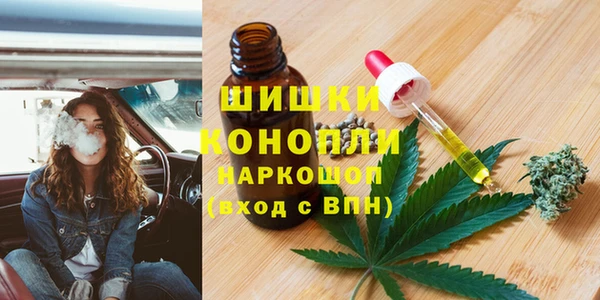сатива Вязьма