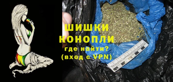 сатива Вязьма