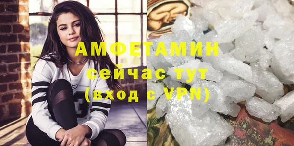 сатива Вязьма