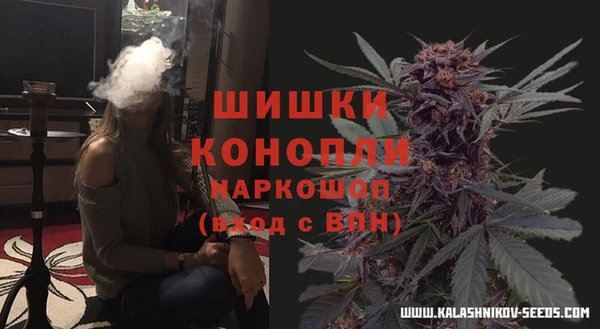 гашик Вязники