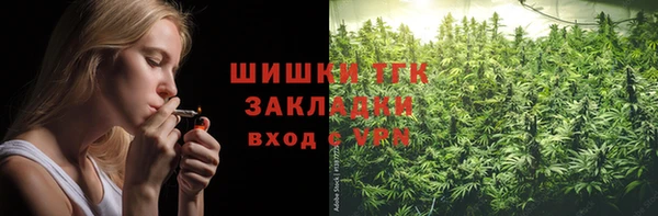 гашик Вязники